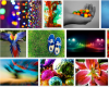Color Photography Montage